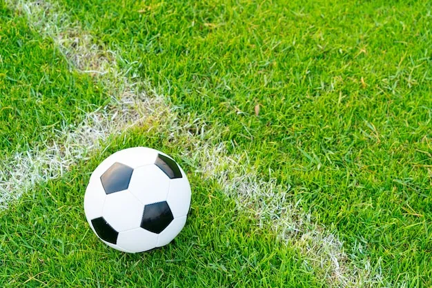 英超直播体育 体育盛况